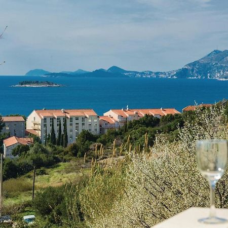 Nice Apartment In Cavtat With Wifi Luaran gambar