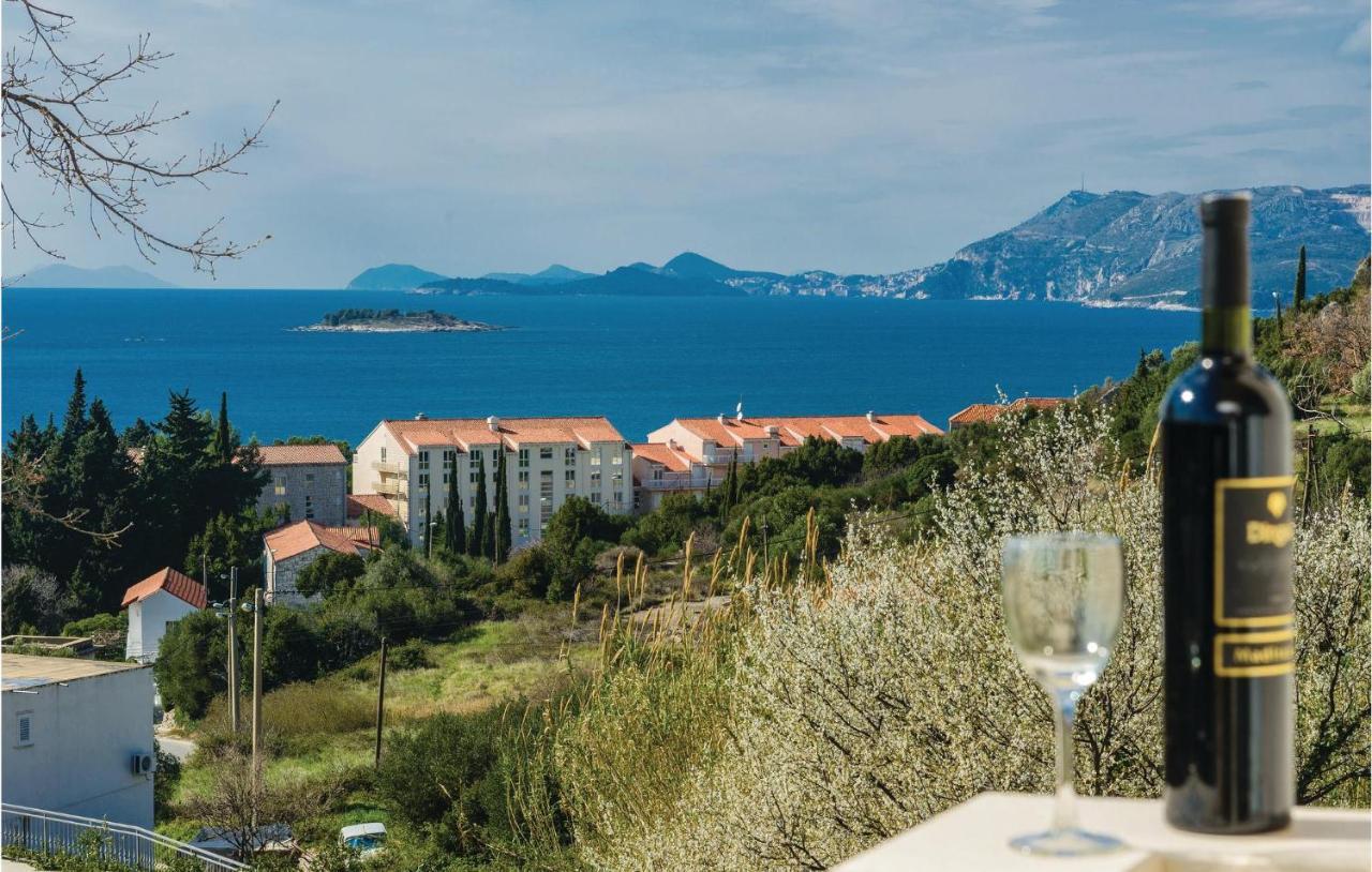 Nice Apartment In Cavtat With Wifi Luaran gambar